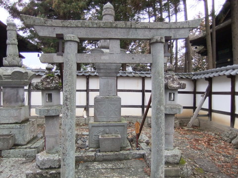 ���忮Ƿ����Ļ�����������