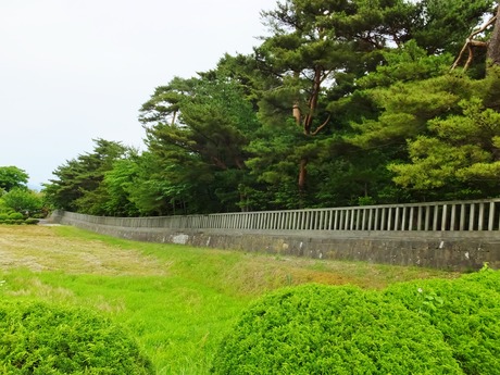 13���������