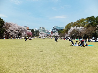 花見に興じる家族連れ