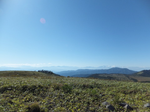 �ֻ��������������ץ�