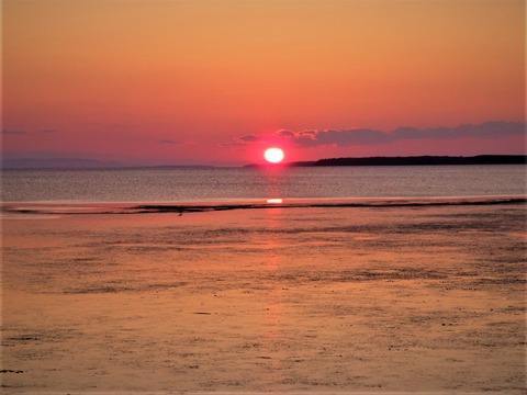 Ë̸«»Ô¡¦¥µ¥í¥Þ¸Ð¤ËÄÀ¤àͼÍÛ