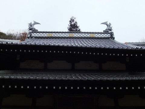 ���˷����岰��