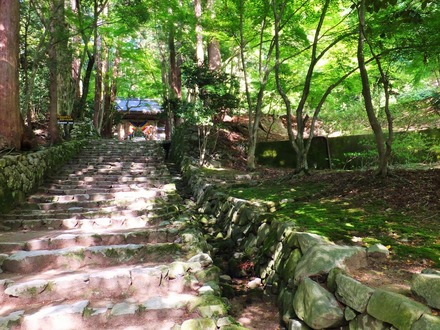 ������ɴ�ѻ�����г��乽