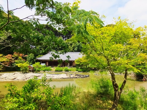 8�����ߤ�����Ʋ��