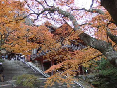 �����ҽ�򸫾夲��