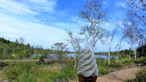 15¡¦¥½¥Õ¥È¥¯¥ê¡¼¥à¤ÈȬÀéÊæ¥ì¥¤¥¯