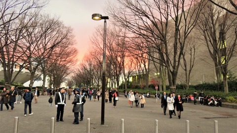 ���󥵡��Ȥ򽪤���