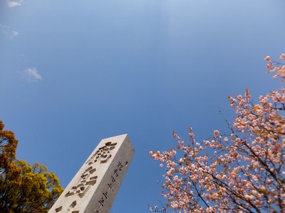 �Ķ�����ɸ��Ω��