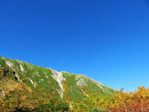 4���������Ķ��˱Ǥ������