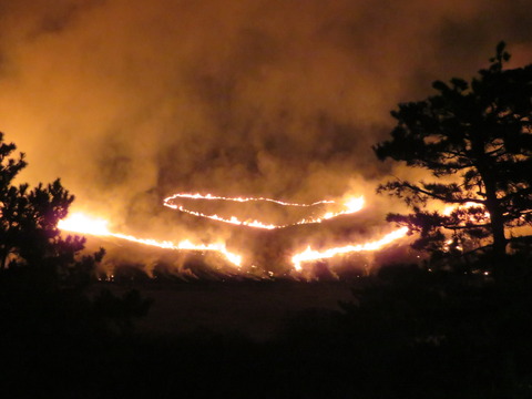 £²£²¥Ï¡¼¥È·Á¤Î²Ð±ê