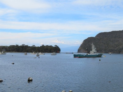 �����ѱ�����ٻλ���