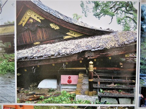 ��ʿ��������¤��ݲ�