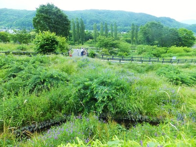 ����饻�åȴ�λ