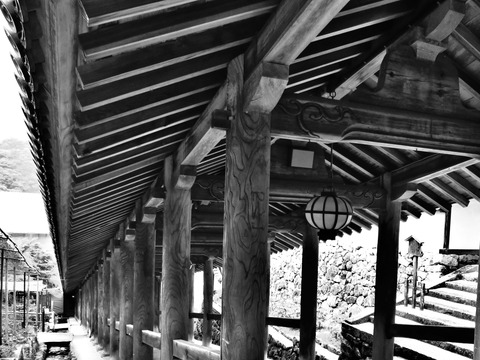 £±£·¡¦Ä¹Ã«»û¤ÎÅФêÏ