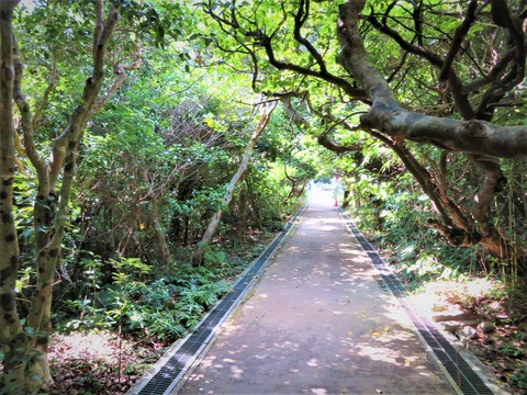 ¤Ä¤Ð¤¥í¡¼¥É