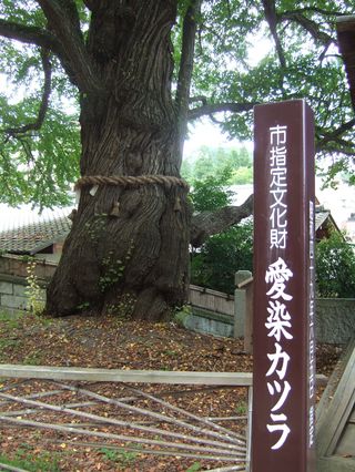 �����ˤ���