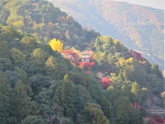 Íò»³¡¦ÂçÈá³ÕÀé¸÷»û