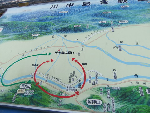 �ʽ���Ÿ˾��ι���Ƿ��