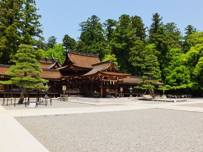 ����¿��������¡������¡�ʾ�¡�����