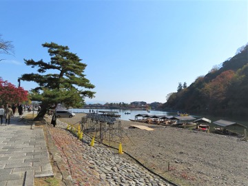 ÊÝÄÅÀî²¼¤ê¤Î½®¤ÎÁ¥Ãå¾ì