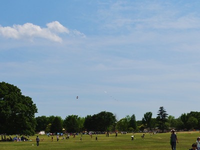 ���äѤǻפ��פ��˳ڤ���͡�