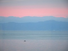 ������������νٲ���