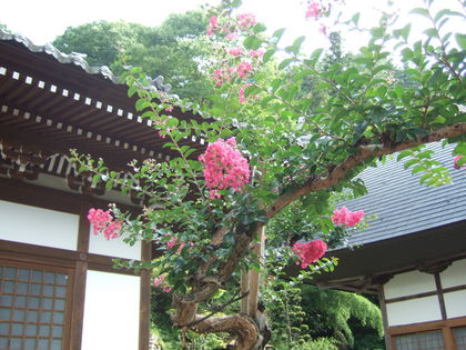 �����ɴ���Ȥβ�