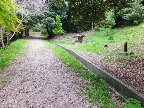 整備された登山道入口