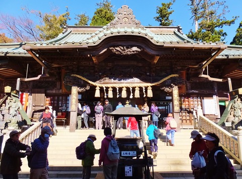 12������������������Ʋ