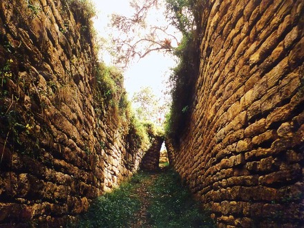 ������å��׺ɤؤ�����