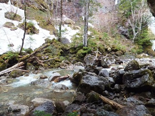 �礭���Ф�ž���äƤ���