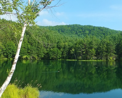 �����γ������̤���