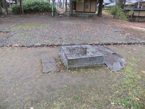 ������Ťְ�ͤȱ��˱챫��