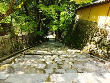 ����˩����������Ʋ�ؤΤܤ�񤭤Τ�������