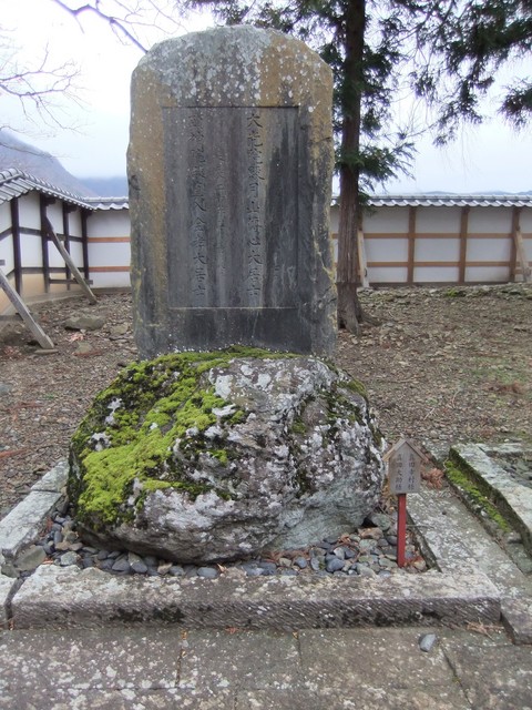 ���Ĺ�¼�����ζ�����