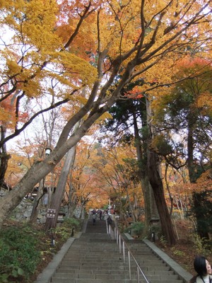 ���¤ؤγ��ʤ˹��դΥȥ�ͥ�