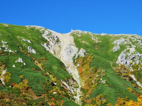 7���Ķ����طʤ˶𥱳٤�����