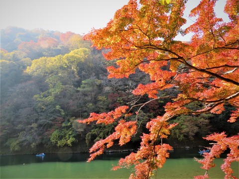 ÊÝÄÅÀî¤ÈÍò»³¤È¤â¤ß¤¸