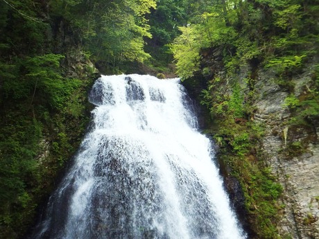 ����򸫾夲��