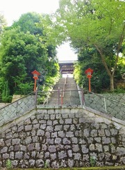 9�����ʲ���껳���