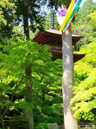 ���������Ф�����뻰����