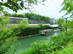 �����ο屿