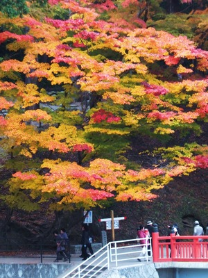 �޿�����