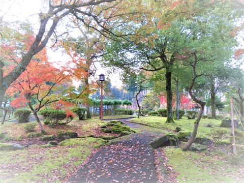 ËüÍÕ¤ÎΤ¡¦Ì£¿¿Ìî±ñ