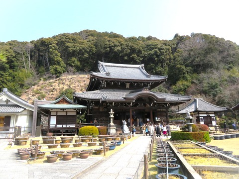 £°¡¡»°¼¼¸Í»û¡¡ËÜÆ²