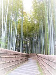 ²½Ìîǰʩ»û¤ÎÃÝÎÓ