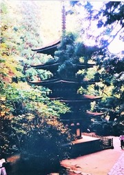 15��38ǯ���μ������޽��� (905x1280)