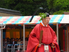 ��¢����