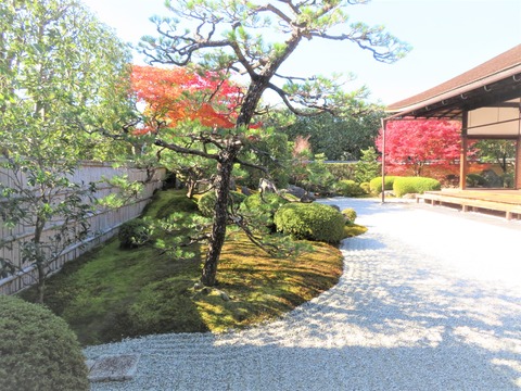 ���ױ�������