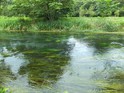 °ÂÆÞÌîèúÀî¤Ë¤¢¤½¤Ö¿åÁð